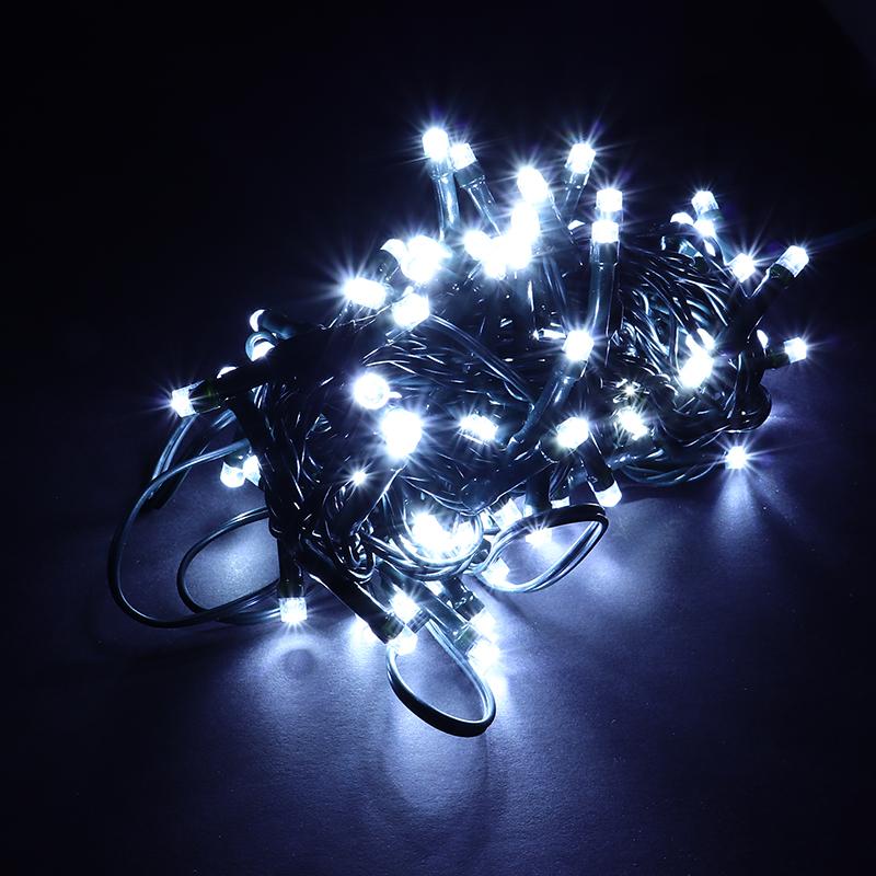 HOME MASTER Cool White Fairy Lights 100 LED Total Length 6.5m Electrical 8 Function