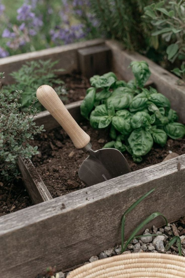 Everything you need to grow – shop stylish pots, durable tools, and essentials for indoor and outdoor gardening