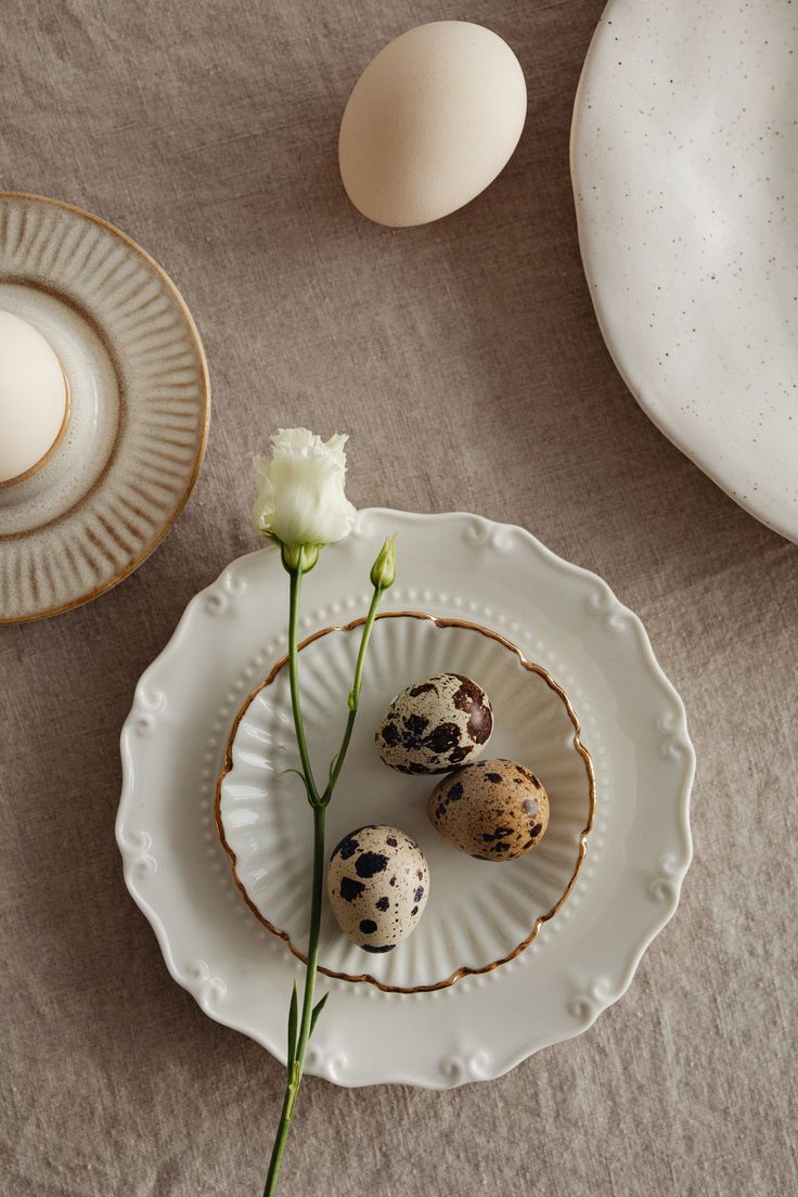 Red Fox & Co. I Easter