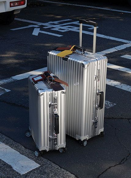 Red Fox & Co. I  Travel Essentials