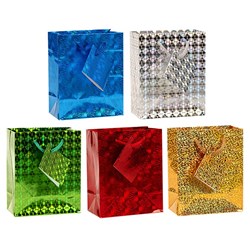 Holographic Gift Bag with Matching Gift Tag 11x13.5x6.2cm - Choose from Blue, Silver, Green, Red or Gold