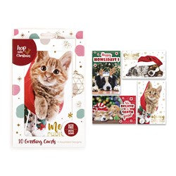 HOP INTO CHRISTMAS Cats and Dogs Christmas Greeting Cards 11.5x17.7cm – 4 Textured Foil Designs 10 Pack