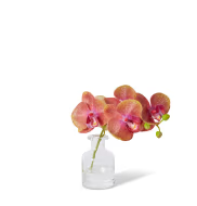 ELME LIVING Burgundy Orchid in Vase 25x10x20cm