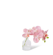 ELME LIVING Pink Orchid in Vase 25x10x20cm
